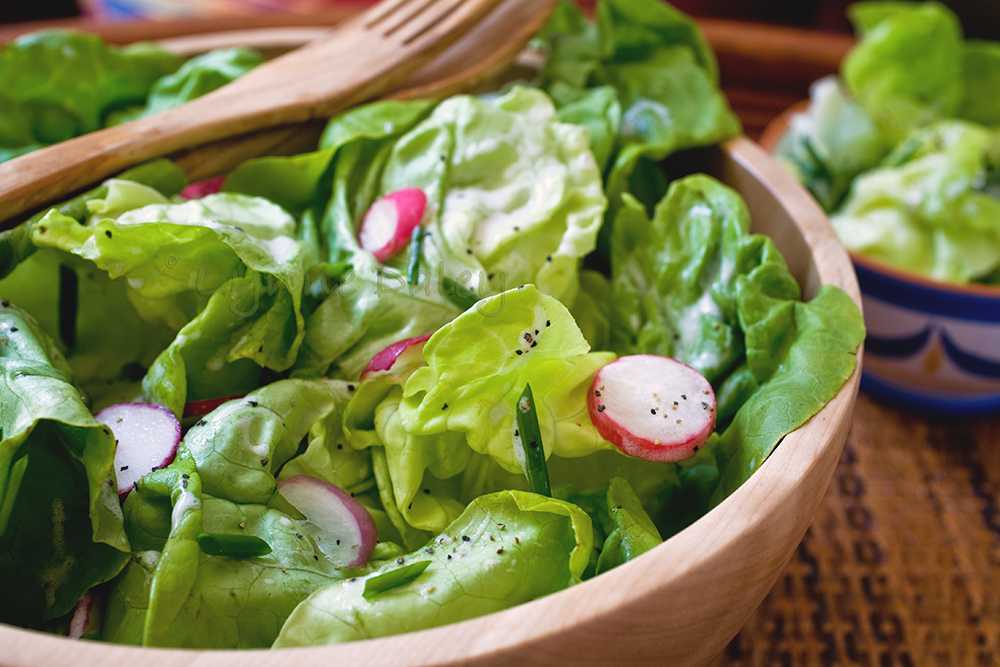 Салат с листьями салата рецепты простые в домашних условиях с фото