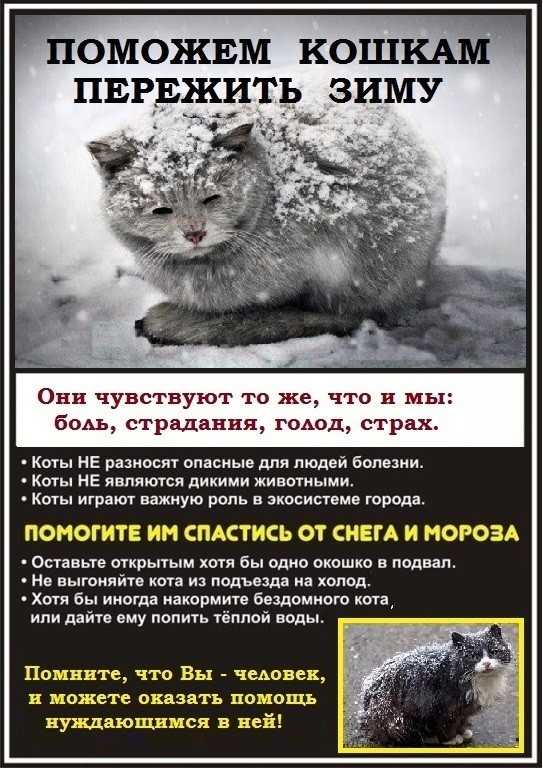 Наступила зима, и во многих городах страны уже сейчас температура стабильно держится на минусовой отметке Через 2-3 недели во все регионы придет зимняя стужа, которая заставляет людей не выходить из квартиры без острой необходимости