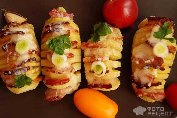 Картошка с сыром в духовке: 5 фото рецептов — очень просто, безумно вкусно