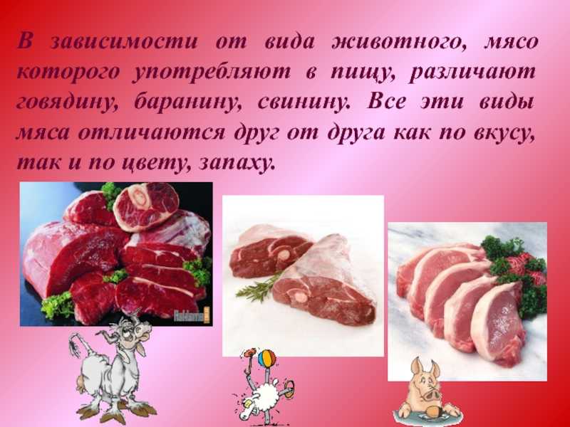 Какую часть говядины выгодно покупать, чтобы сэкономить