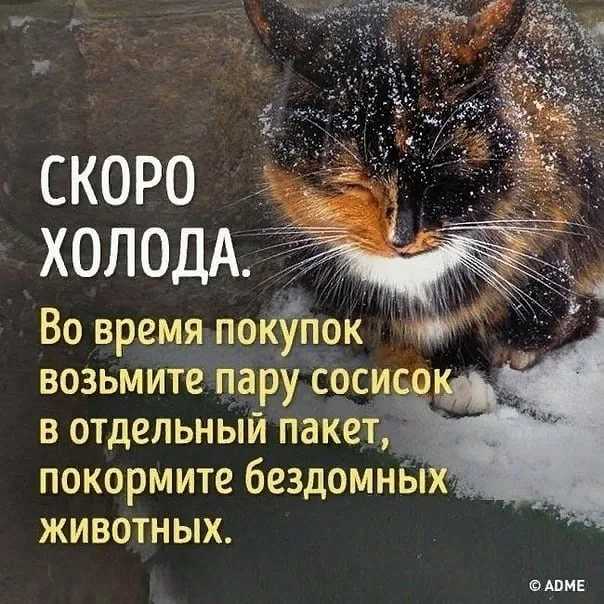 Температура при коронавирусе — полная информация