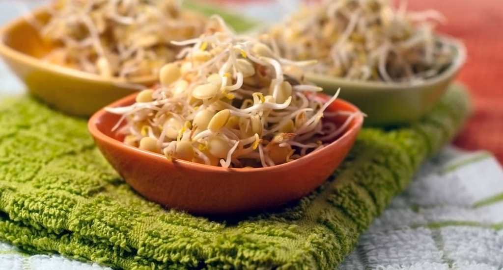 Как приготовить пророщенную сою: очень вкусные рецепты