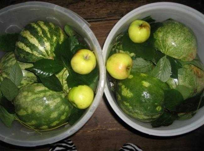 Как посолить арбузы в банках на зиму в домашних условиях: отзывы