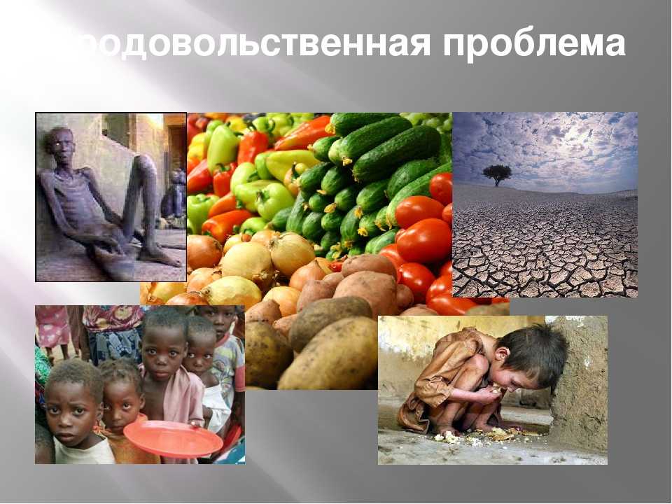 Экологический голод. Продовольственная проблема. Продовольственная проблема человечества. Глобальная продовольственная проблема. Мировая продовольственная проблема.