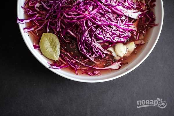 Очень вкусные рецепты из красной капусты с фото блюд: что можно быстро сделать из неё в домашних условиях, а также секреты приготовления простых солений на зиму