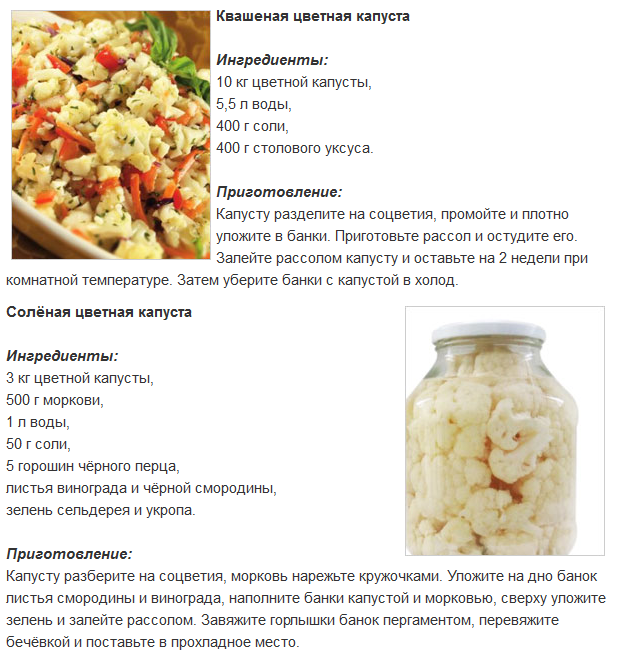 Капуста краснокочанная квашеная / заготовка капусты / tvcook: пошаговые рецепты с фото