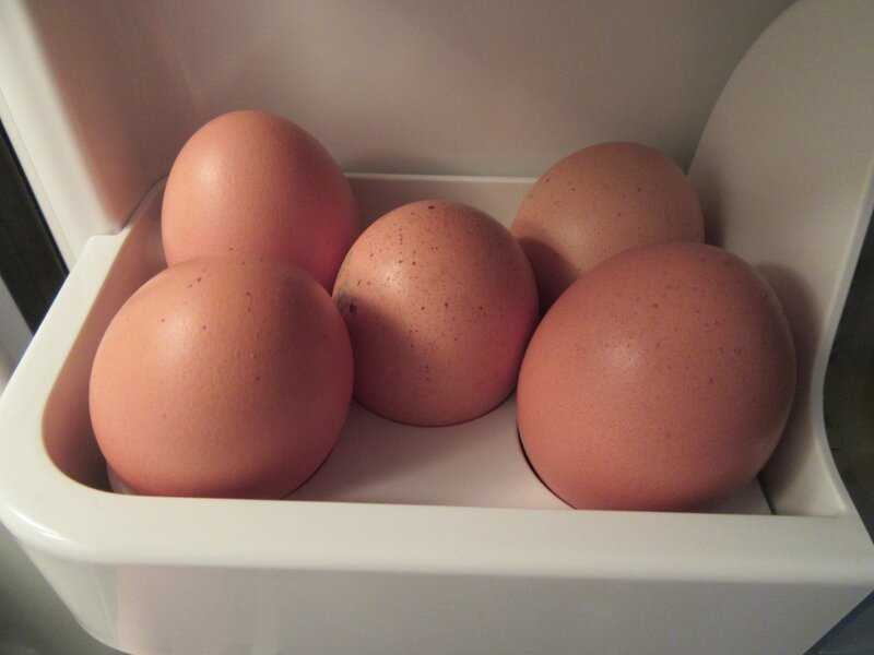 Можно ли мыть домашние яйца перед хранением. Мытое яйцо. Хранение яиц. Мойка яиц. Надо ли мыть яйца перед варкой.