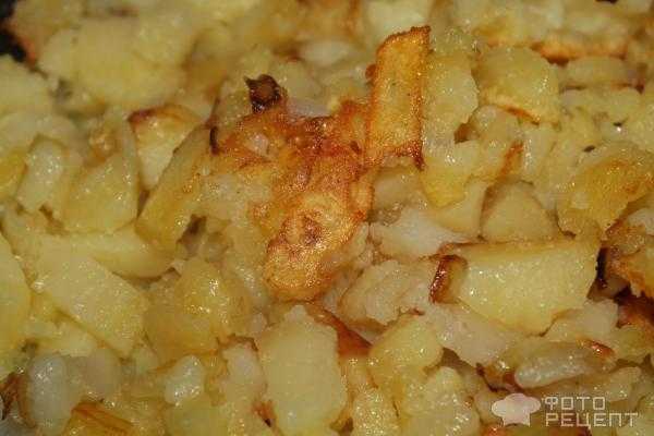 Картошка со сметаной и чесноком в духовке рецепт с фото - 1000.menu