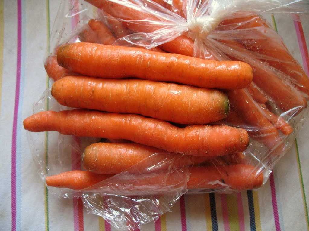 Как лучше хранить морковь. Хранение моркови в полиэтиленовых пакетах. Морковь в пакете. В полиэтиленовый пакет морковка. Хранение моркови в мешках.