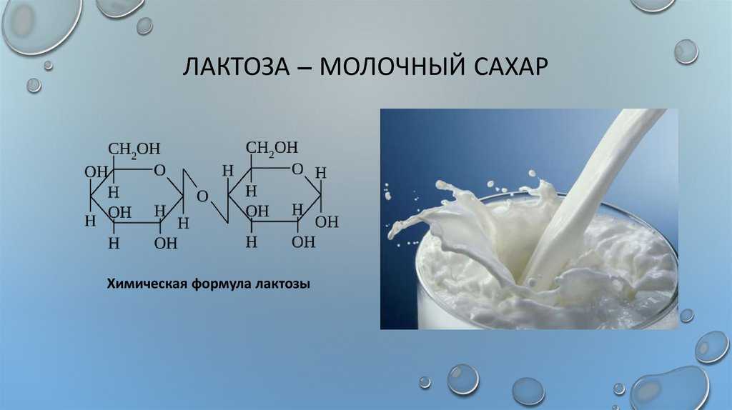 Лактоза презентация по химии