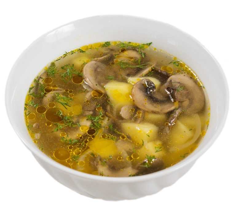 Что приготовить из шампиньонов: 20 вкусных и быстрых рецептов
