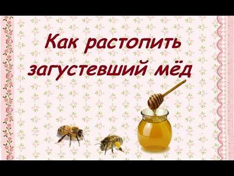 Как сделать засахаренный мед жидким в домашних условиях: способы
