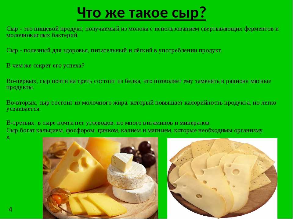 Пользу или вред приносит сыр?