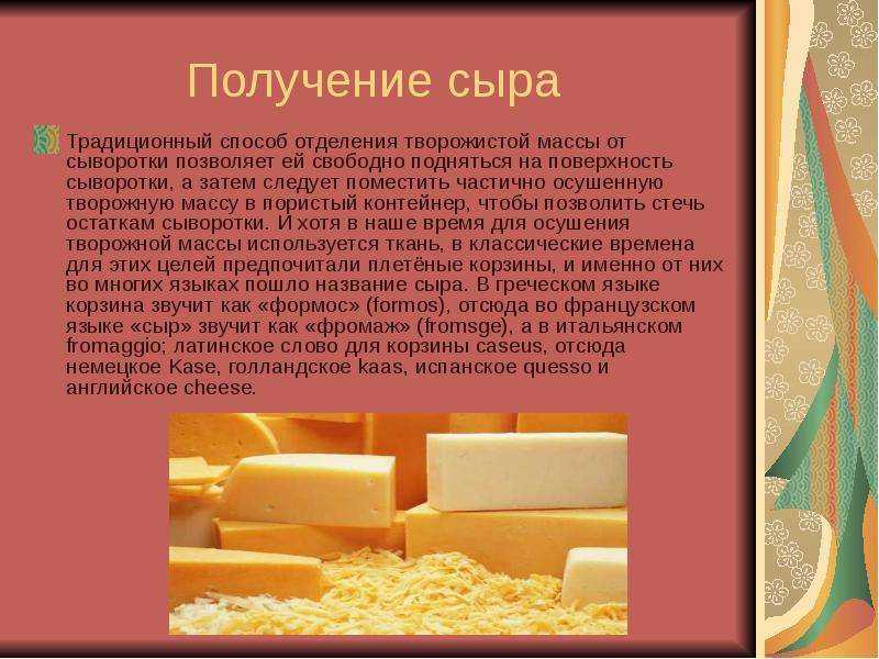 Проект про сыр