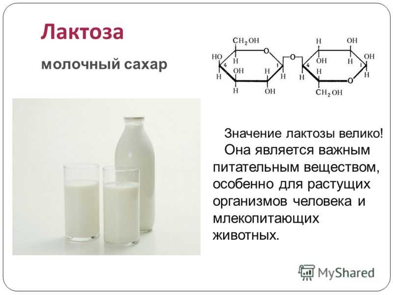 Лактоза презентация по химии