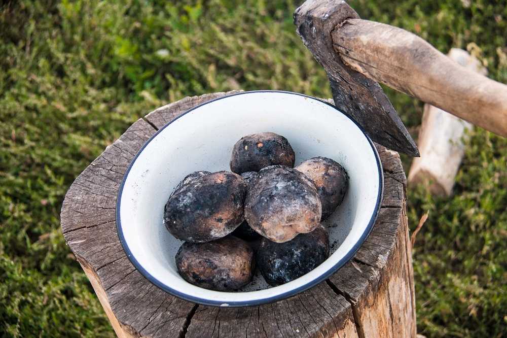 Горячей и черной картошкой печеной согрей ладошки