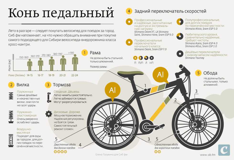 Как выбрать размер рамы велосипеда: таблица, особенности