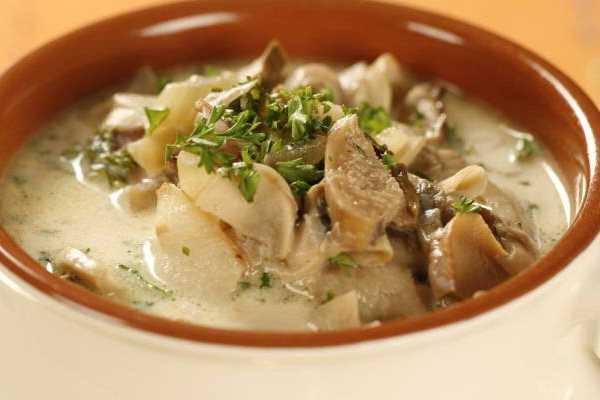 Суп из подберезовиков свежих рецепт с фото пошагово
