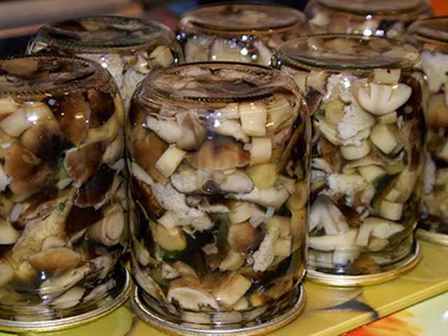 Грибы маринованные на зиму, 13 рецептов приготовления