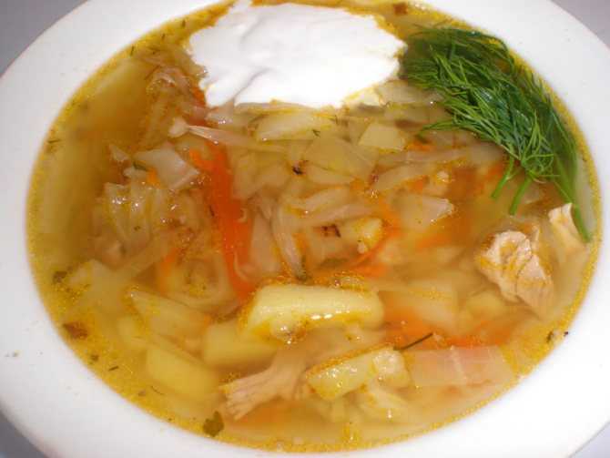 Щи из свежей капусты с курицей — пошаговый рецепт с фото