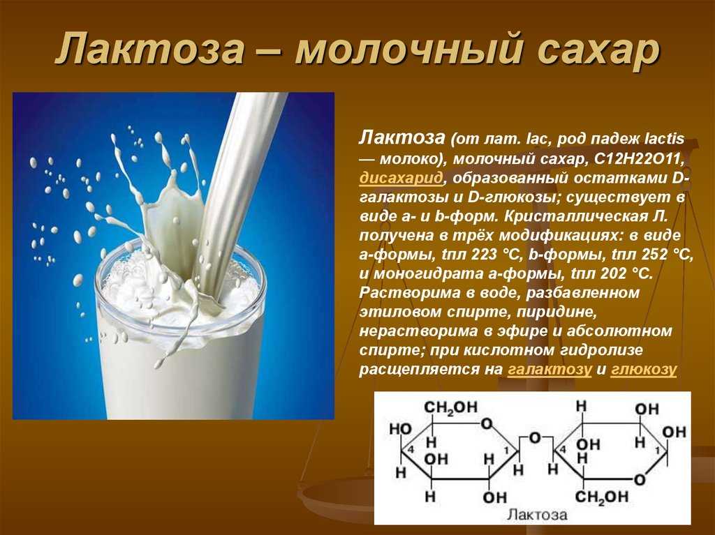 Лактоза презентация по химии