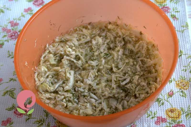Савойская капуста: рецепты приготовления на зиму, хранение заготовок