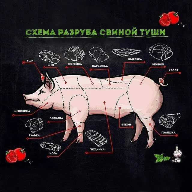 Ответы этнографический диктант 2021 основная часть