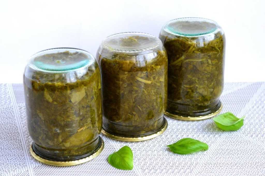 Щавель на зиму – популярные способы заготовки щавеля на зиму с фото