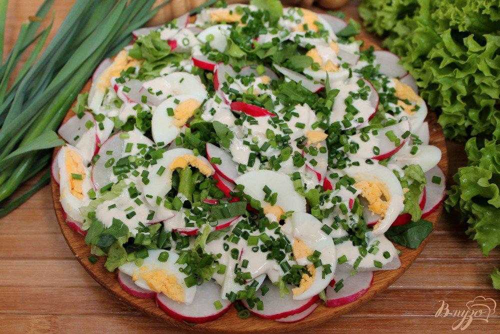 Щавель рецепты блюд с фото простые и вкусные салаты