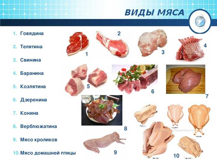 Презентация мясо свинины