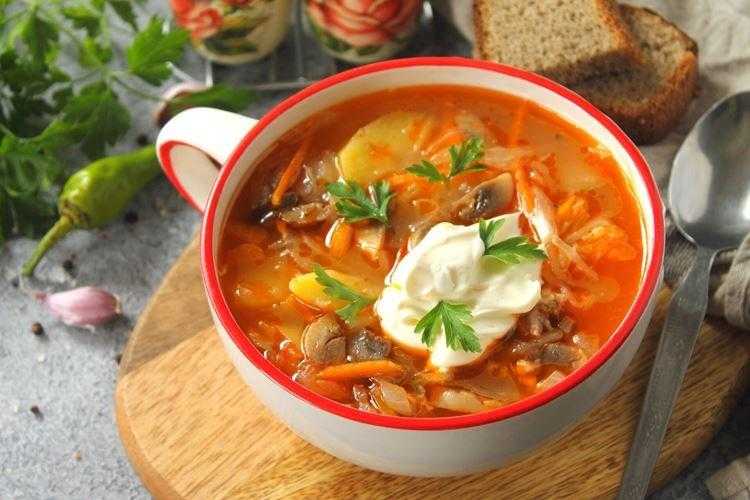 Щи из свежей капусты с курицей — пошаговый рецепт с фото