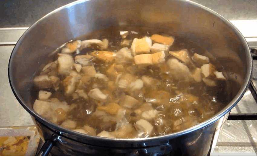 Суп из замороженных грибов белых с картофелем. Грибной суп из подосиновиков. Суп из свежих подосиновиков. Грибовница из подосиновиков. Суп из подосиновиков замороженных.