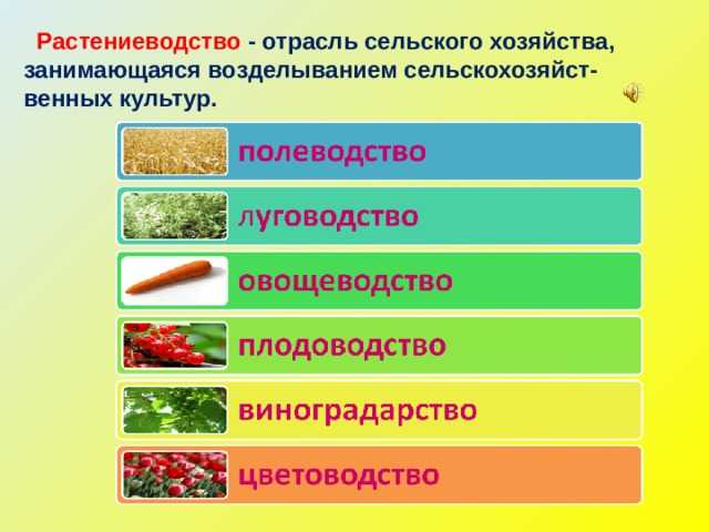 Овощные культуры в самарской области