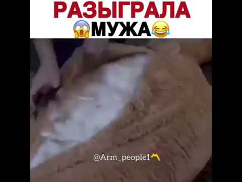 Розыгрыши и шутки на 1 апреля — прикольно и креативно отметим день смеха!
