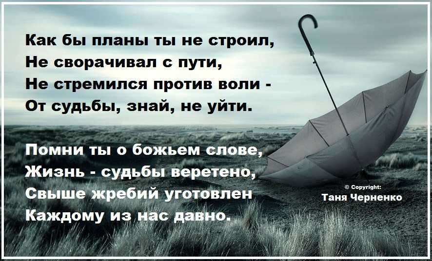 Те кто с детства стремится к мечте часто реализует свои жизненные планы грамматическая ошибка