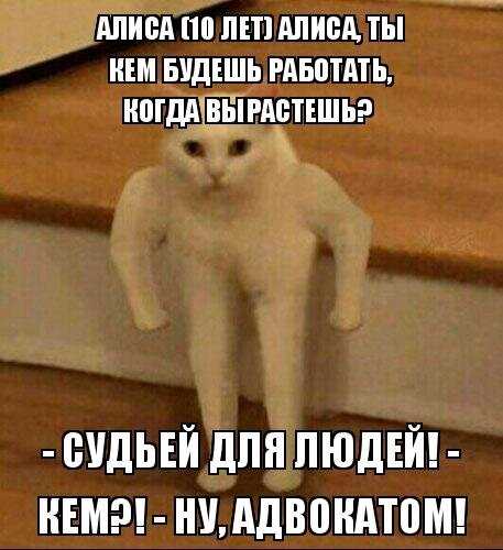 Кодный показ: как решения оперштаба скажутся на жизни россиян | статьи | известия