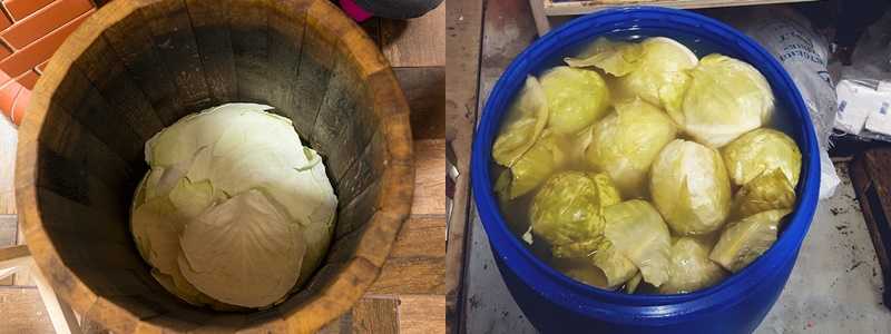 Как засолить капусту кочанами в бочке. как солить капусту в бочке: особенности и технология приготовления