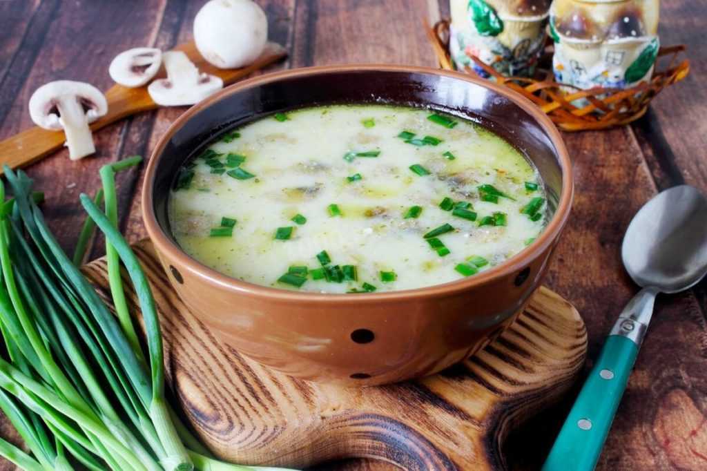 Суп с грибами и плавленным сыром – нежный вкус французской кухни: рецепт с фото и видео