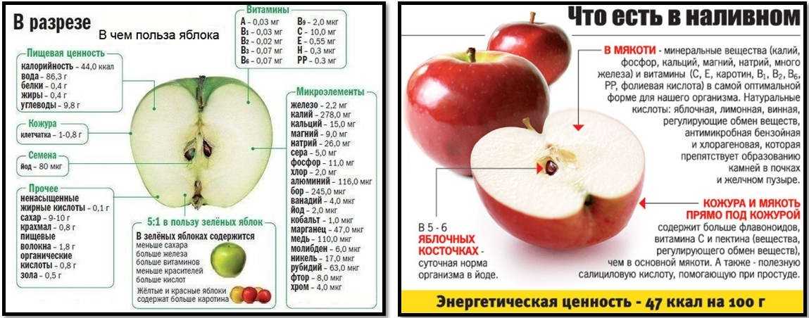 Ягоды для беременных: польза или вред?