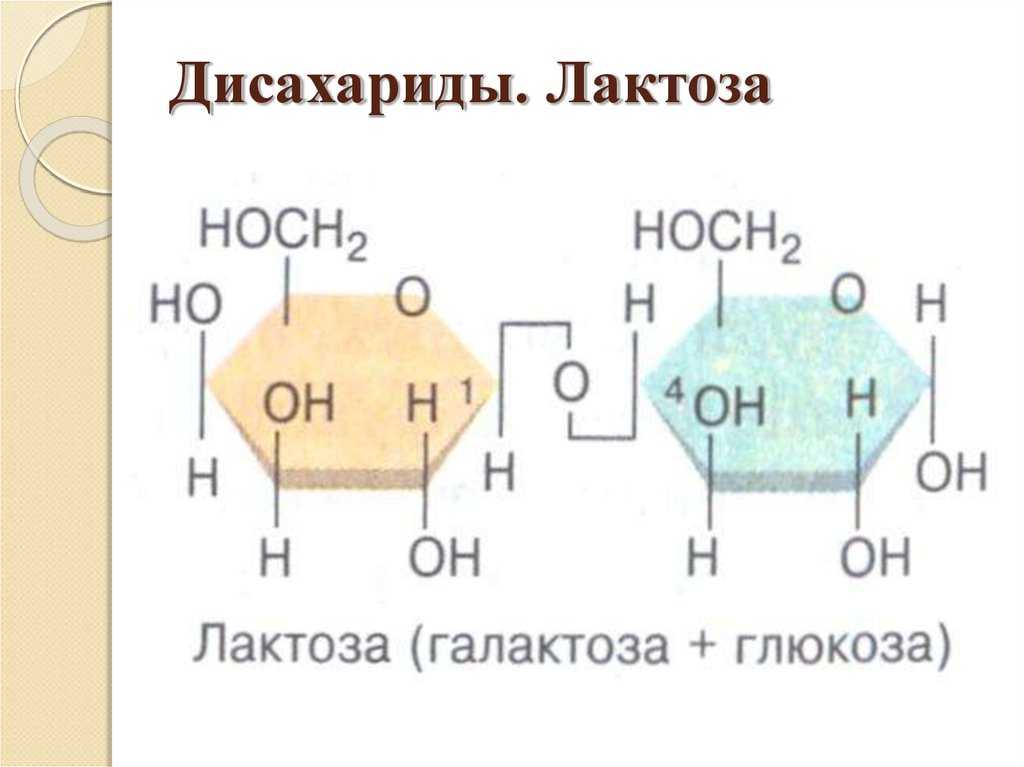 Лактоза это. Строение лактозы формула. Строение лактозы формула Хеуорса. Формула структуры лактозы. Лактоза структурная формула.