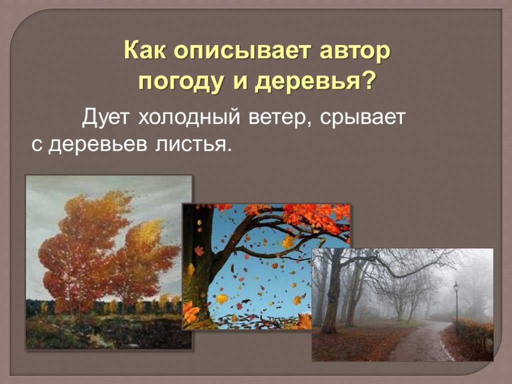 Дует холодный ветер впр. Рассказ поздняя осень. Презентация поздняя осень. Ветер срывает листья с деревьев. Рассказ поздней осенью.
