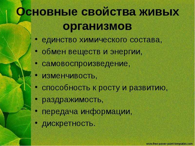 Презентация это выберите один из вариантов ответа