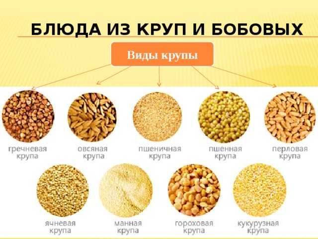 К каким продуктам относятся каши