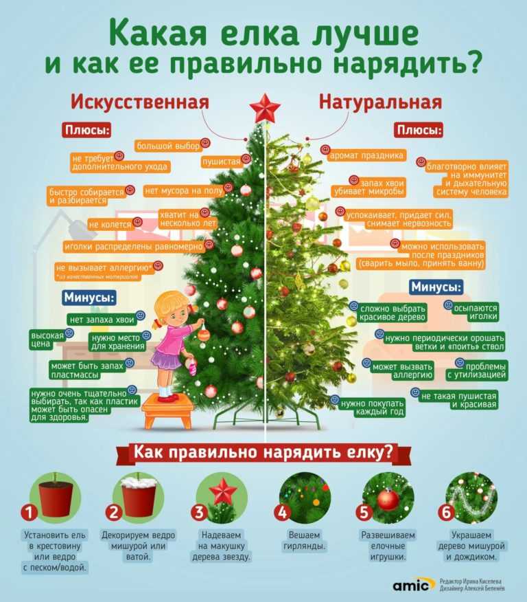 Новогодняя елка: история дерева и праздника, легенды, факты| wikidedmoroz.ru