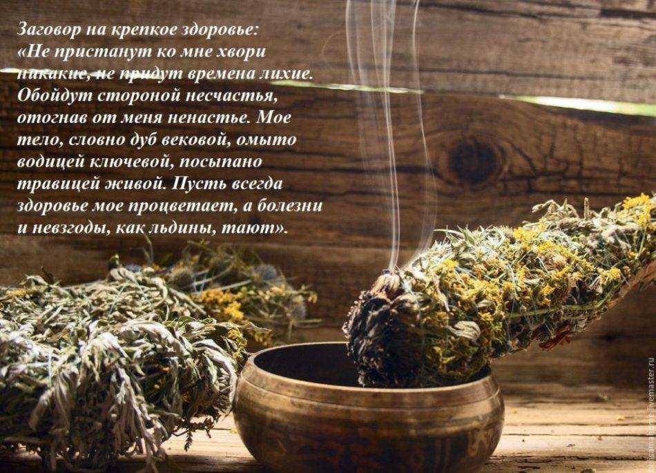 Варенье из ягод: рецепты, как и сколько варить, пропорции с сахаром