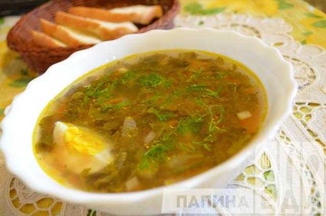 Зеленый борщ с щавелем — 6 вкусных классических рецептов